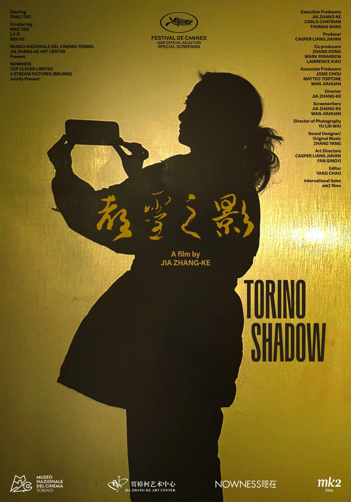 Torino Shadow